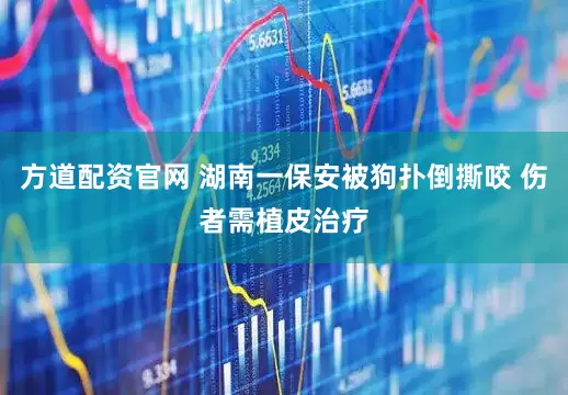 方道配资官网 湖南一保安被狗扑倒撕咬 伤者需植皮治疗