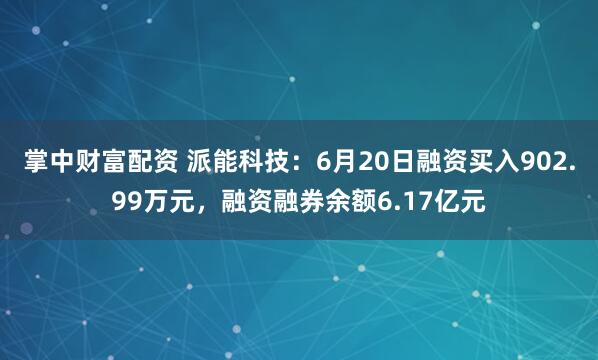掌中财富配资 派能科技：6月20日融资买入902.99万元，融资融券余额6.17亿元