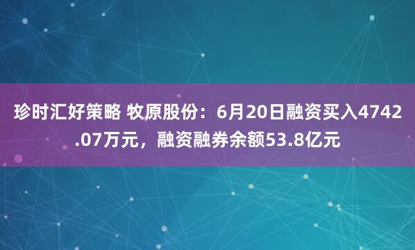 珍时汇好策略 牧原股份：6月20日融资买入4742.07万元，融资融券余额53.8亿元
