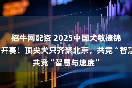 招牛网配资 2025中国犬敏捷锦标赛十月开赛！顶尖犬只齐聚北京，共竞“智慧与速度”