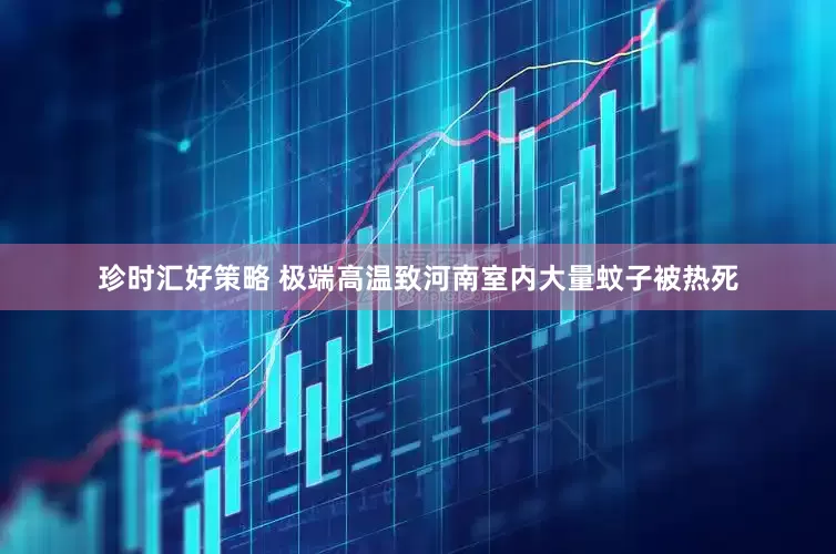 珍时汇好策略 极端高温致河南室内大量蚊子被热死