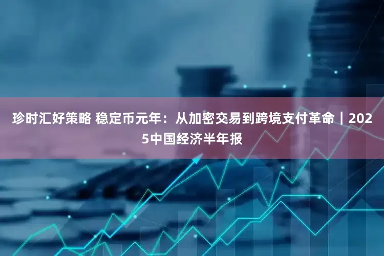 珍时汇好策略 稳定币元年：从加密交易到跨境支付革命｜2025中国经济半年报